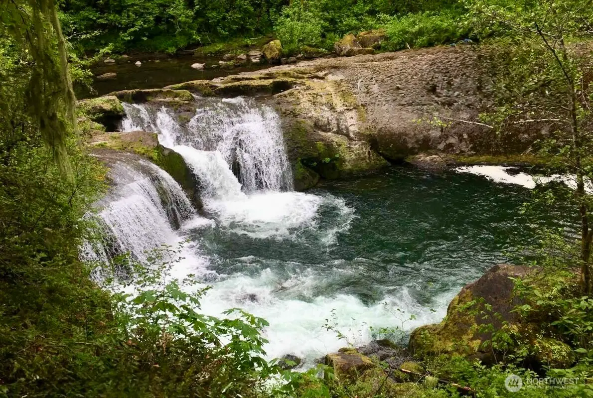 100 L-1100 Road, Yacolt, WA 98366 - #1