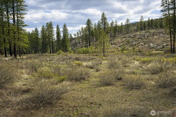 1 N Cook Mt Road #E 1/2 lot 1, Okanogan, WA 98840