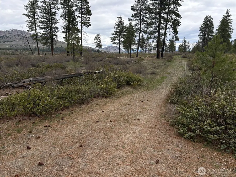 1 N Cook Mt Road #E 1/2 lot 1, Okanogan, WA 98840 - #2