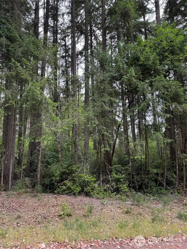 12216 Wapato Road #87, Anderson Island, WA 98303