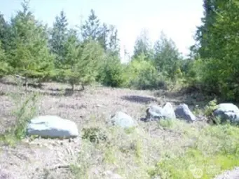 1111 Whiteman Road, Longbranch, WA 98351 - #1