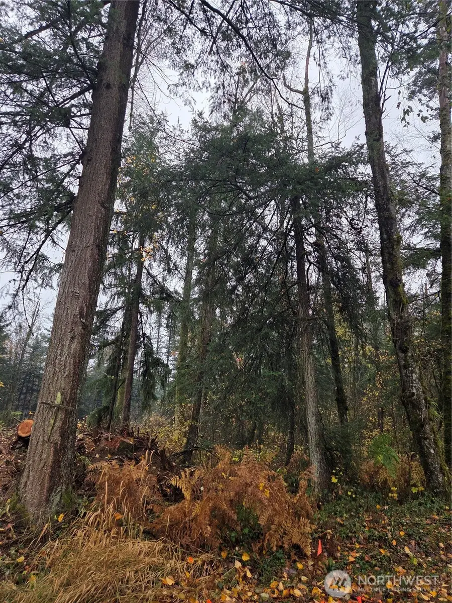 0 H Street, Blaine, WA 98230 - #2