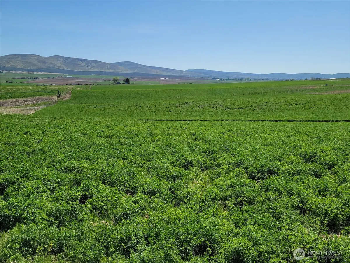 1612 Katen Road #3, Ellensburg, WA 98926 - #1