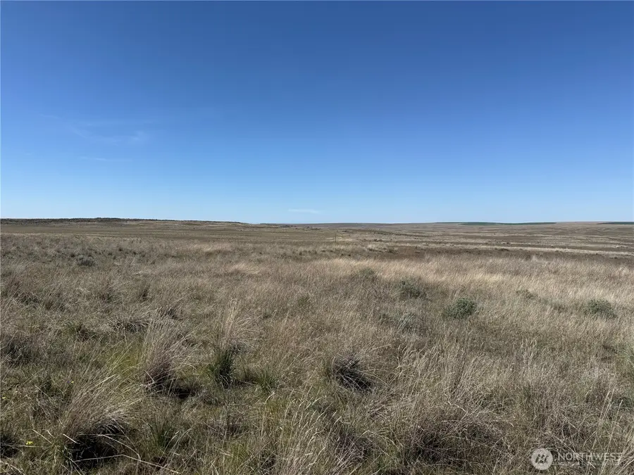 0 Black Rock Road N, Odessa, WA 99159 - #2