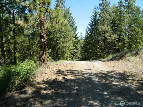 0 Tbd Murphy Ranch Road, Tonasket, WA 98855