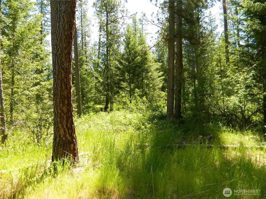 0 Tbd Murphy Ranch Road, Tonasket, WA 98855 - #3