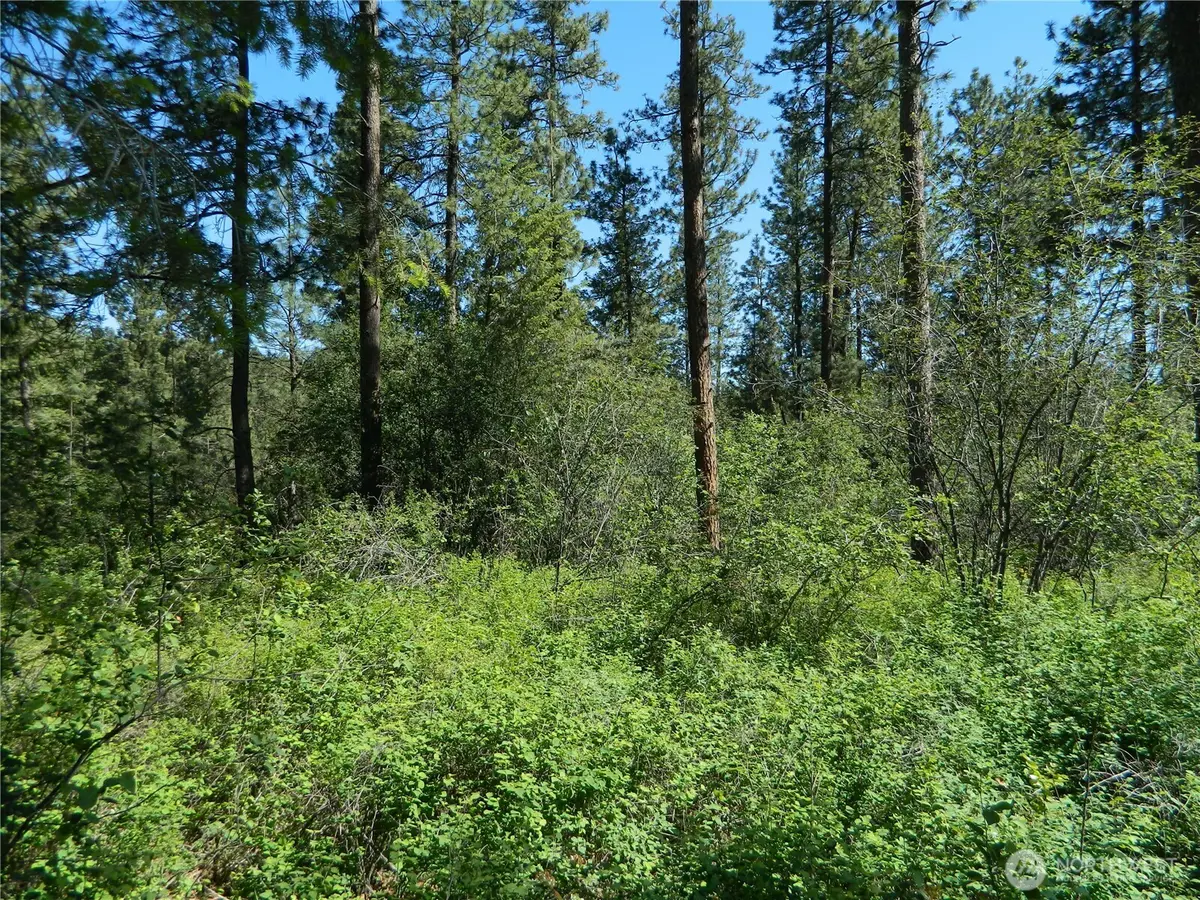 111 Tbd Murphy Ranch Road, Tonasket, WA 98855 - #1