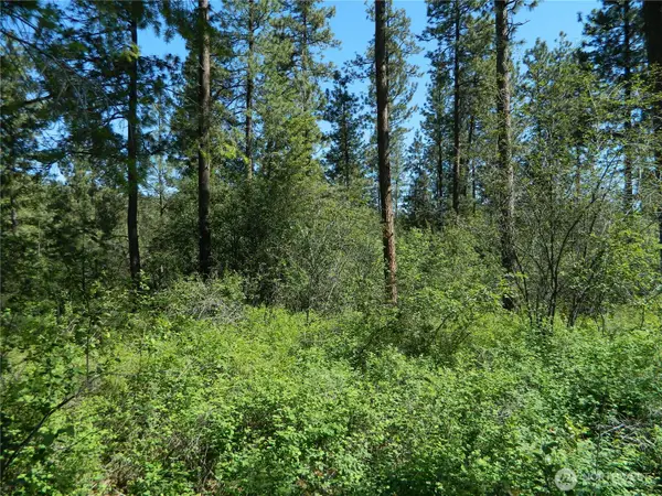 111 Tbd Murphy Ranch Road, Tonasket, WA 98855