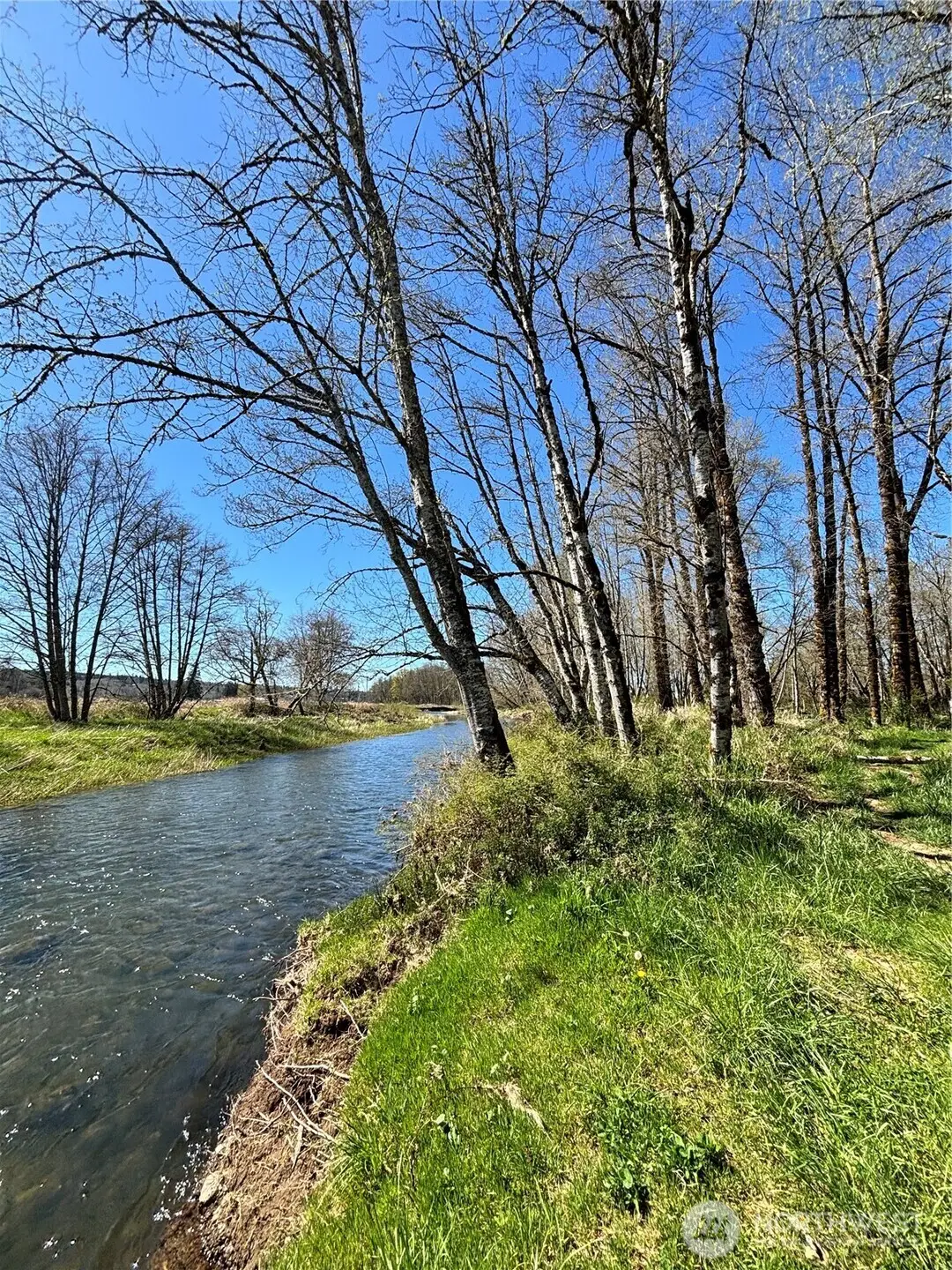 1554 State Route 508 #017404004000, Onalaska, WA 98570 - #1