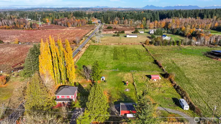 2880 Creasey Road, Custer, WA 98240 - #3