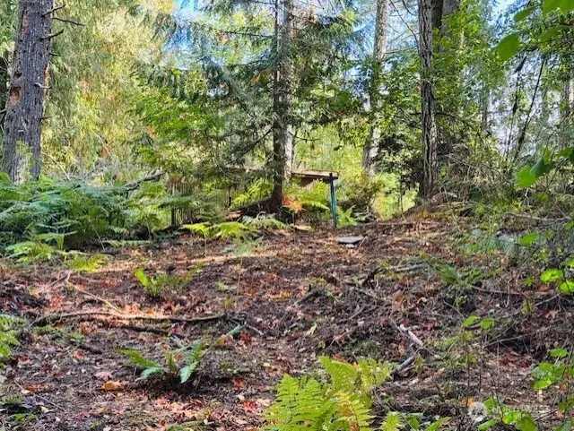 0 E Agate Road, Shelton, WA 98584 - #1