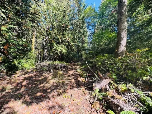 0 E Agate Road, Shelton, WA 98584 - #2