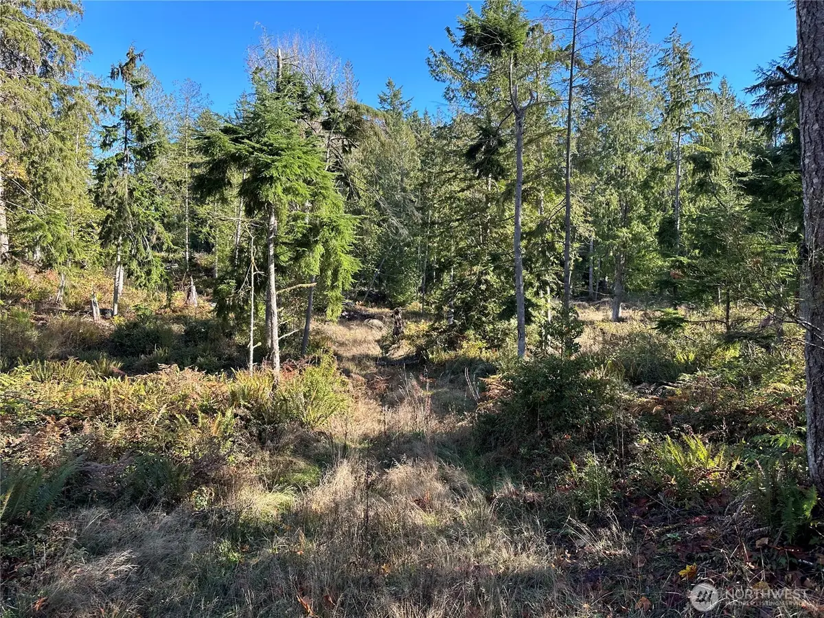 6 Lilypad Place E #6, Port Orchard, WA 98366 - #1