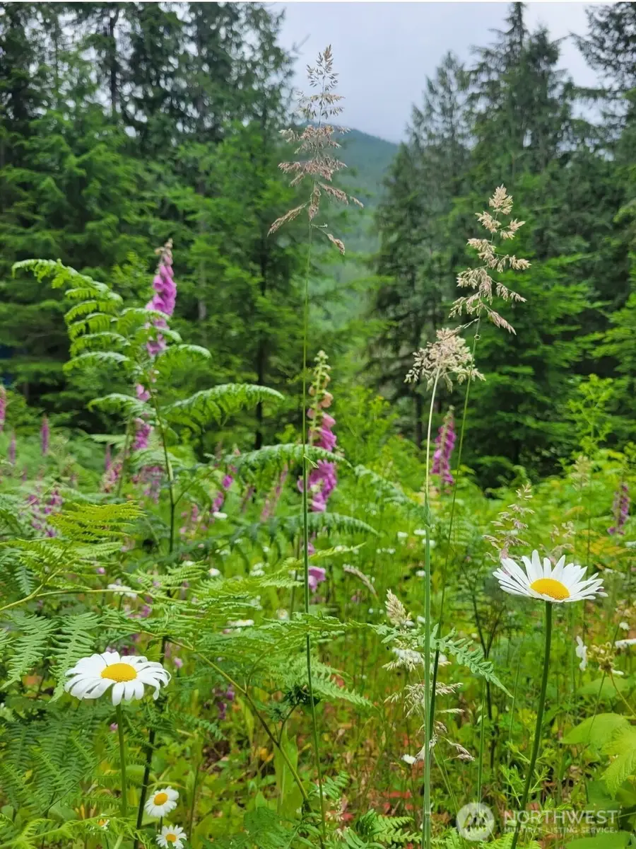 0 Acorn Lane #159, Marblemount, WA 98267 - #3