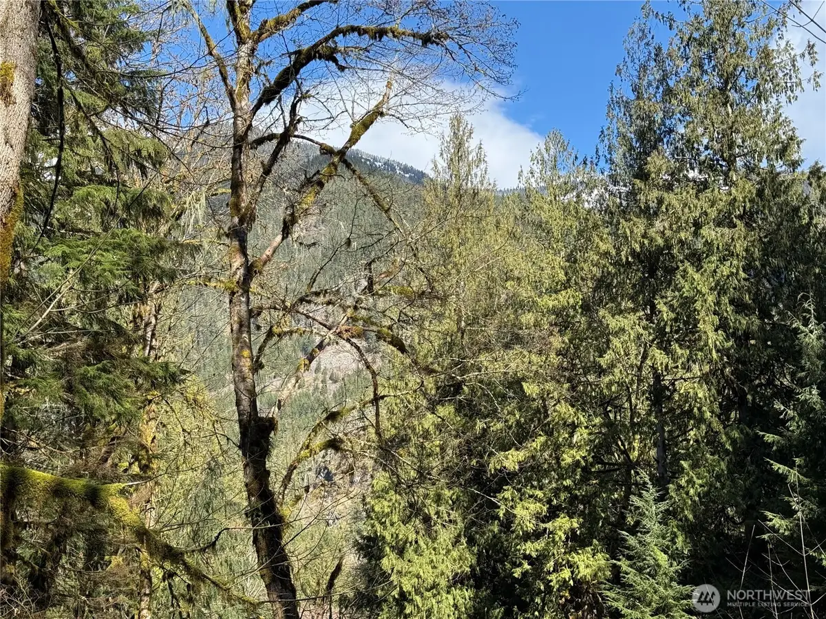 0 High Ridge Drive #114, Marblemount, WA 98267 - #1