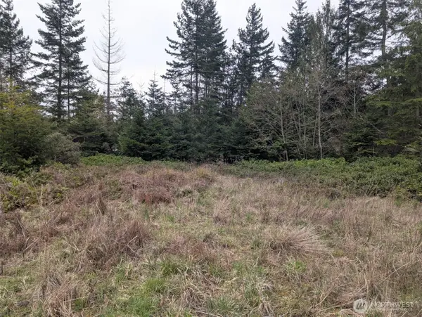 0 Critter Country Trail #3, Sequim, WA 98382