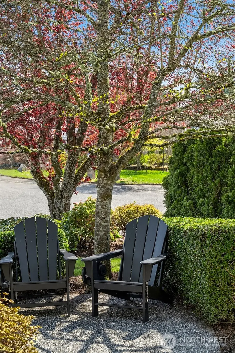 16603 57th Place W, Lynnwood, WA 98037 - #3