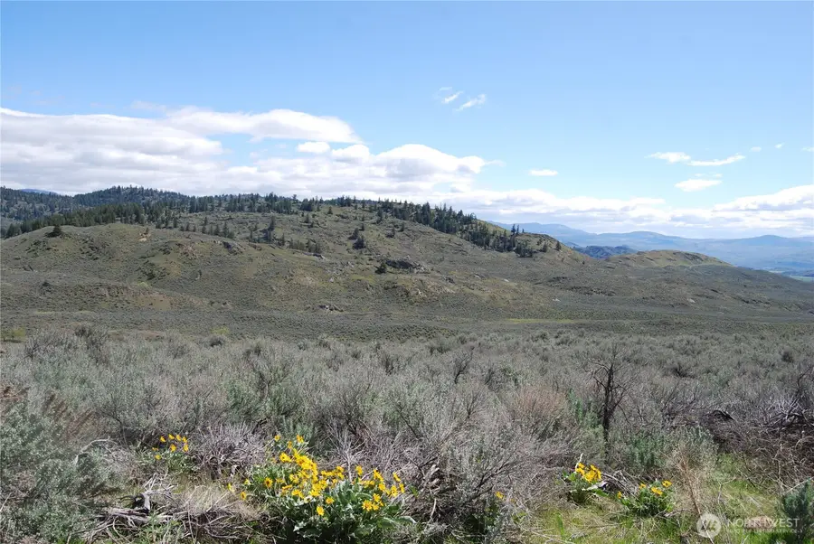 0 Lower White Road, Tonasket, WA 98855 - #2