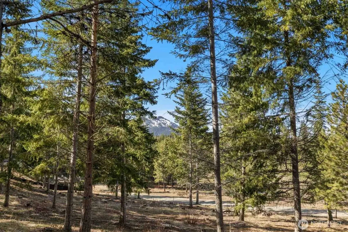 64 Liberty Bell Lane #64, Cle Elum, WA 98922 - #1