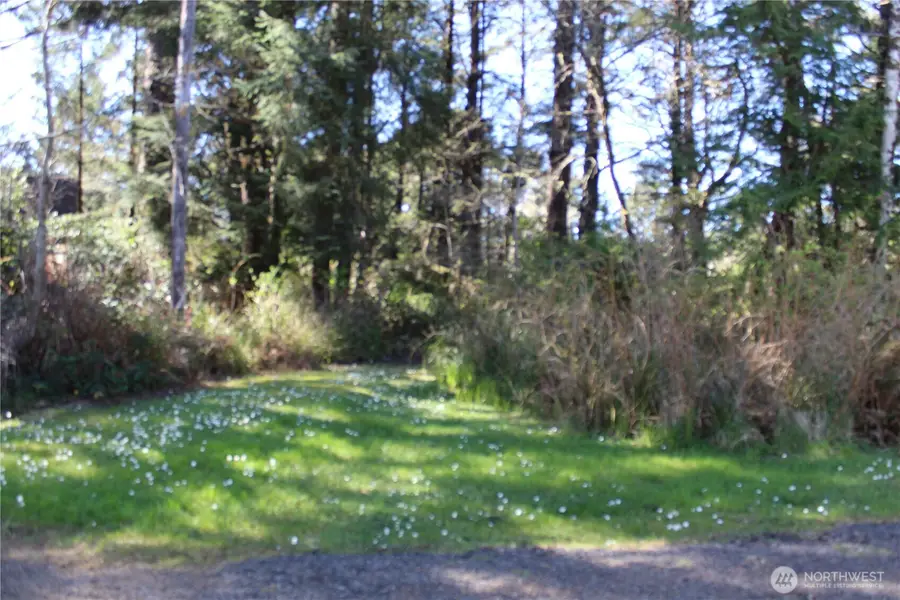 39 Dolphin Ln., Copalis Beach, WA 98535 - #3