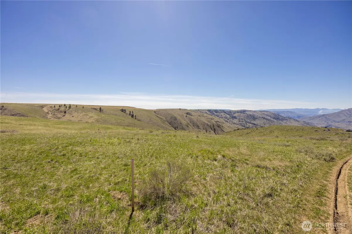 0 Blue Sky Lane #15, Orondo, WA 98843 - #1