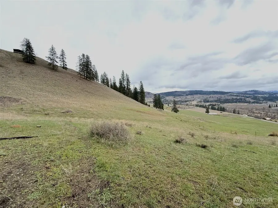 0 Cottonwood Creek Road, Curlew, WA 99118 - #2