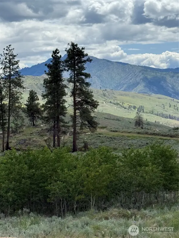 3 Ruttin Ridge Road #3 & 4, Methow, WA 98834