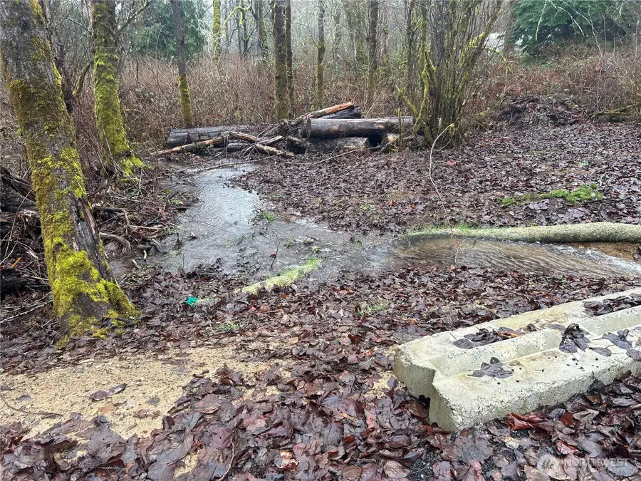 5214 Lerch Road, Snohomish, WA 98290 - #3