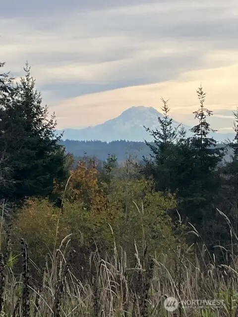 2 E Lone Fir Drive Drive E #2, Shelton, WA 98584