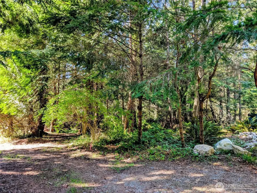 1940 N Cedar Park Drive #5, Point Roberts, WA 98281 - #2