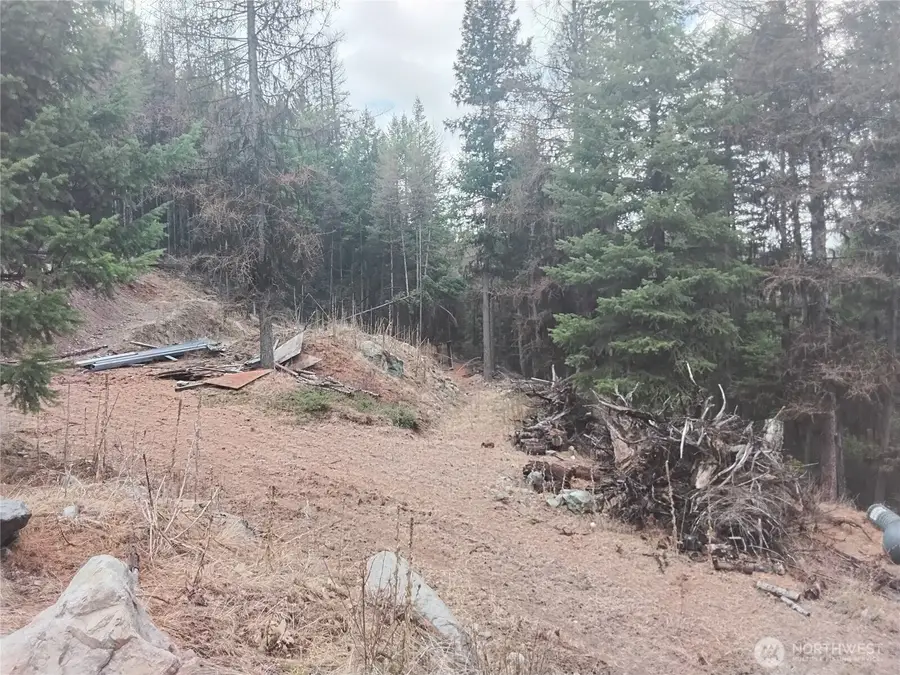 0 Cougar Loop Drive, Tonasket, WA 98855 - #3