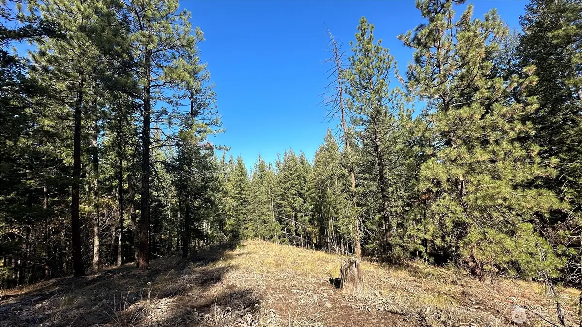 142 Red Pine Court #Tx 1 Lots 142 & 143, Winthrop, WA 98862 - #1