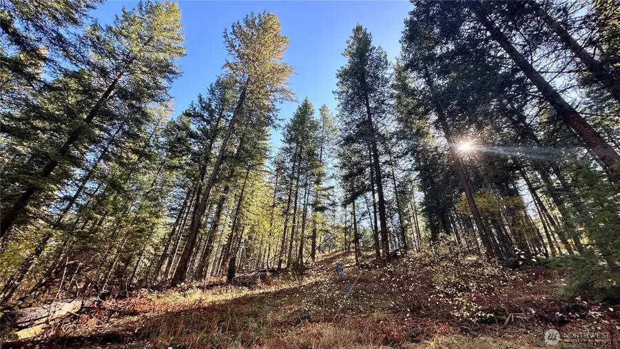 142 Red Pine Court #Tx 1 Lots 142 & 143, Winthrop, WA 98862 - #2