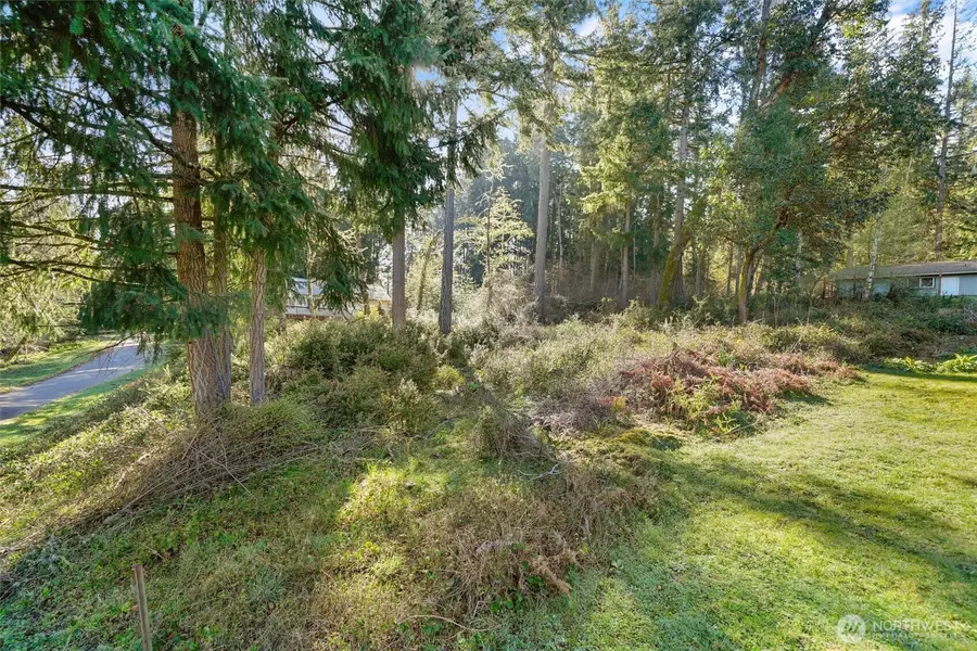 10514 100th Street Ct #86, Anderson Island, WA 98303 - #3