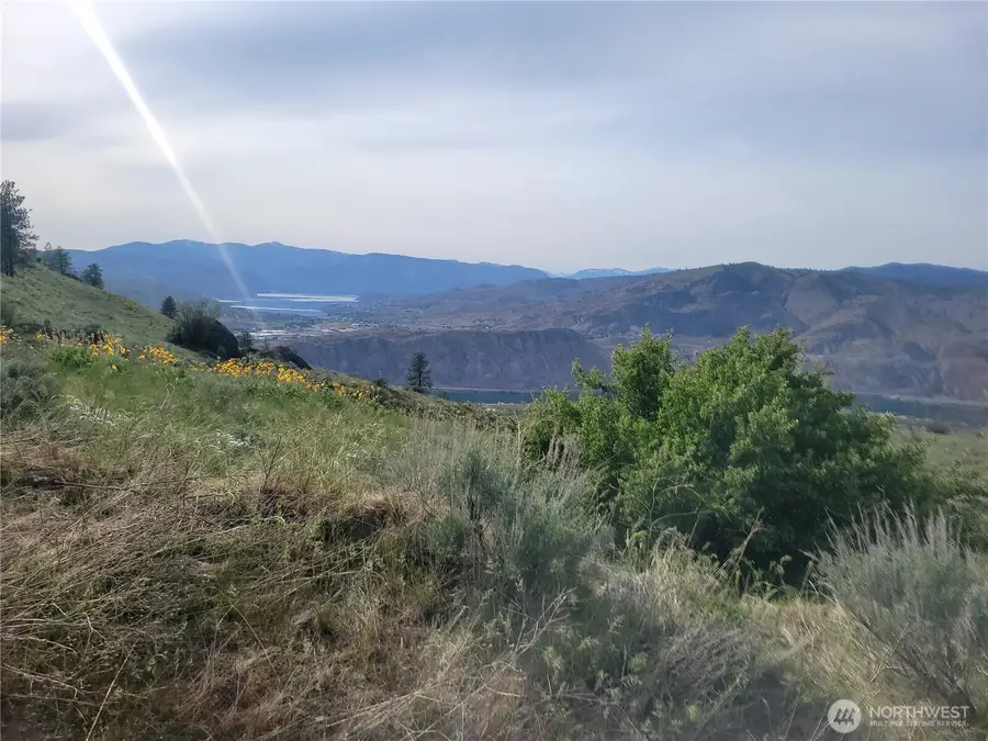 0 Coyote's Curve Road, Orondo, WA 98843 - #2