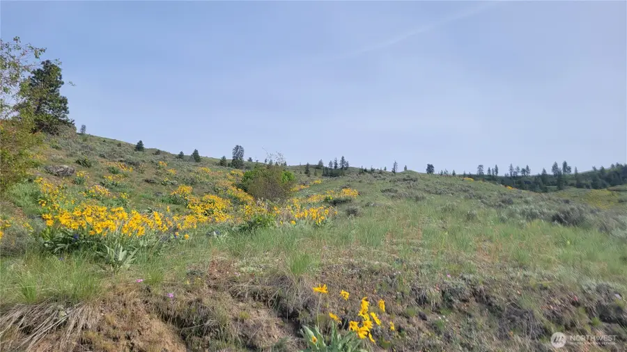 0 Coyote's Curve Road, Orondo, WA 98843 - #3