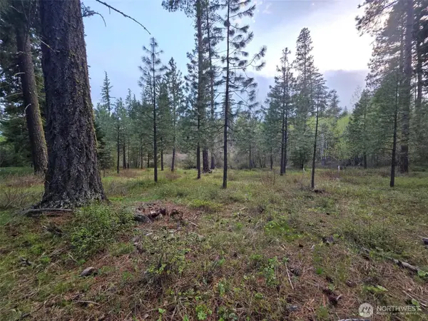 15 Old Grove Trail #15, Cle Elum, WA 98922