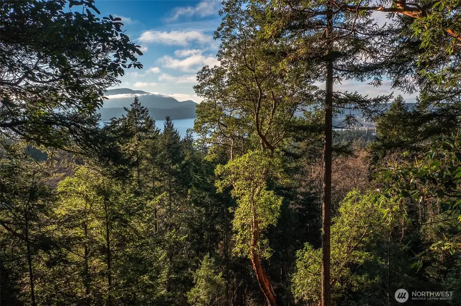 558 Buck Mt. Road, Orcas, WA 98245 - #2