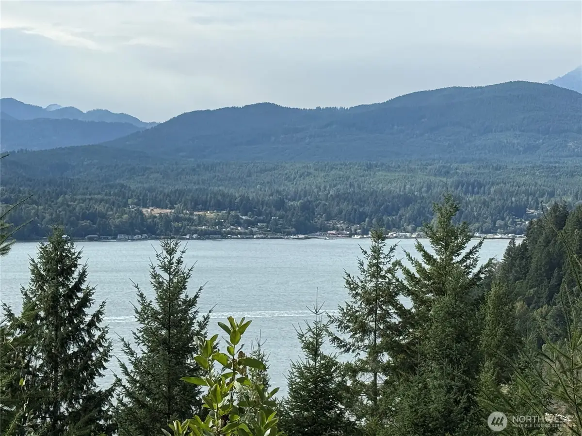 251 NE Yew Tree Lane, Tahuya, WA 98588 - #1