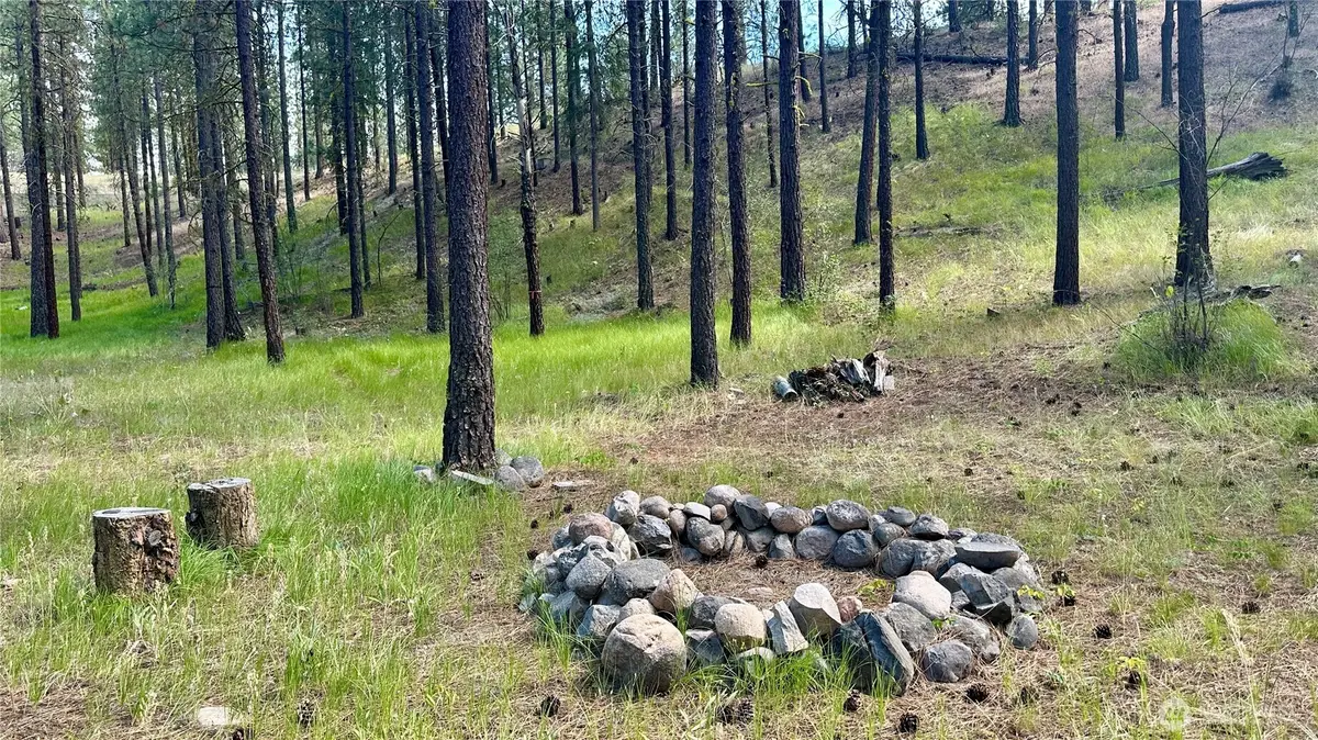 98 Larkspur Drive #29, Winthrop, WA 98862 - #1