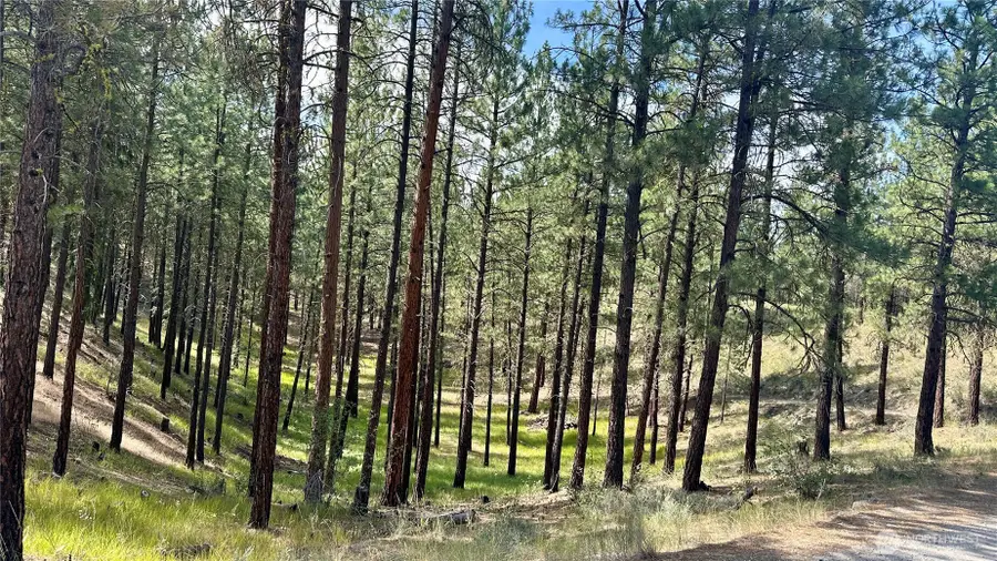 98 Larkspur Drive #29, Winthrop, WA 98862 - #2