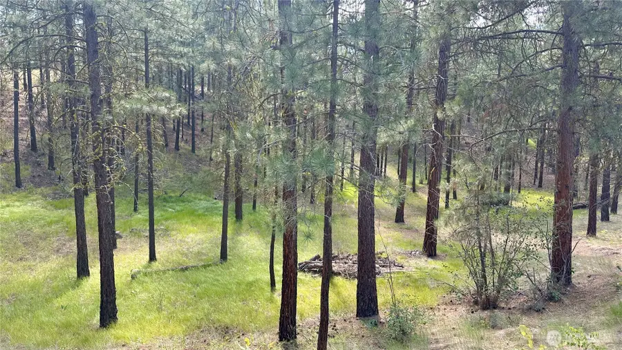 98 Larkspur Drive #29, Winthrop, WA 98862 - #3