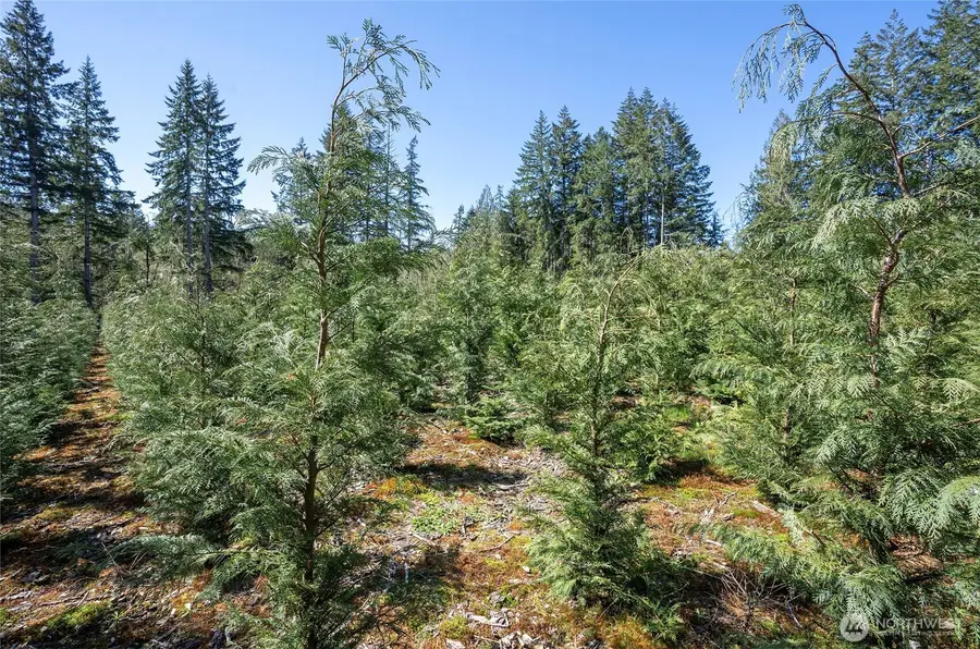 103 Andrejs Road, Shelton, WA 98584 - #2