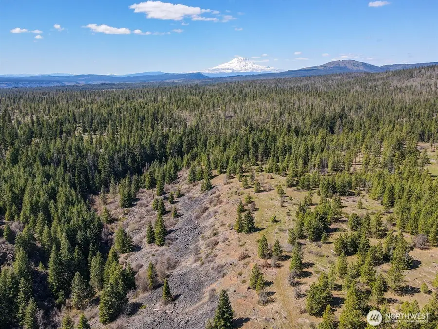 5 Sky Road #5, Goldendale, WA 98620 - #2