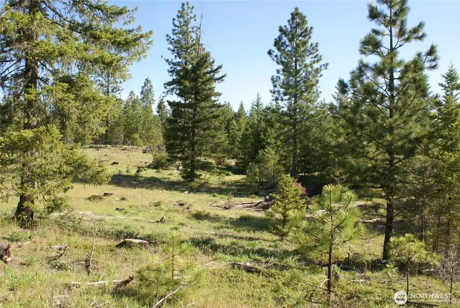 5 Sky Road #5, Goldendale, WA 98620 - #3