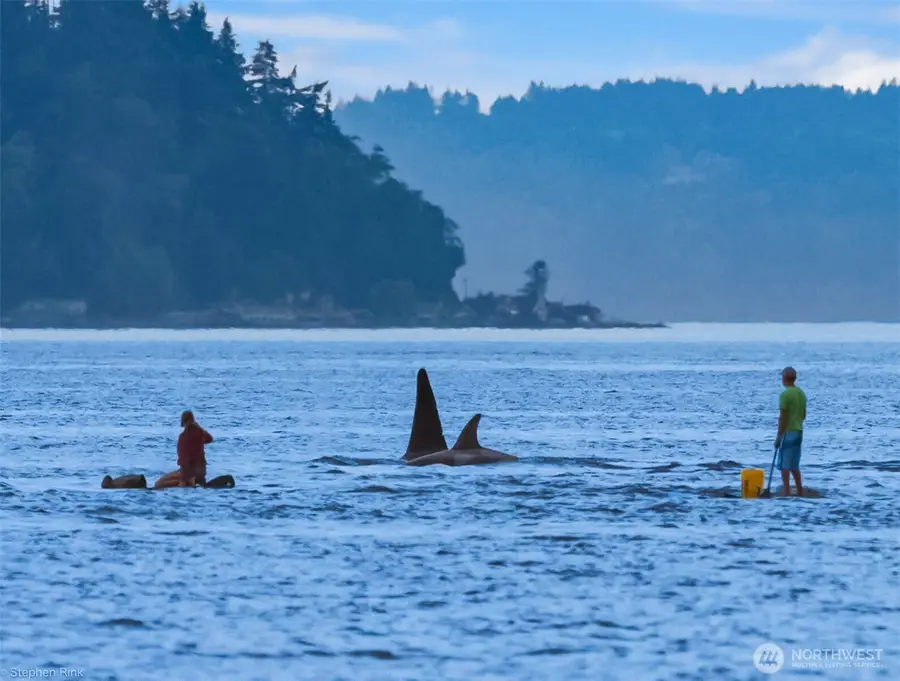 6521 Beach Drive Sw, Seattle, WA 98136 - #3