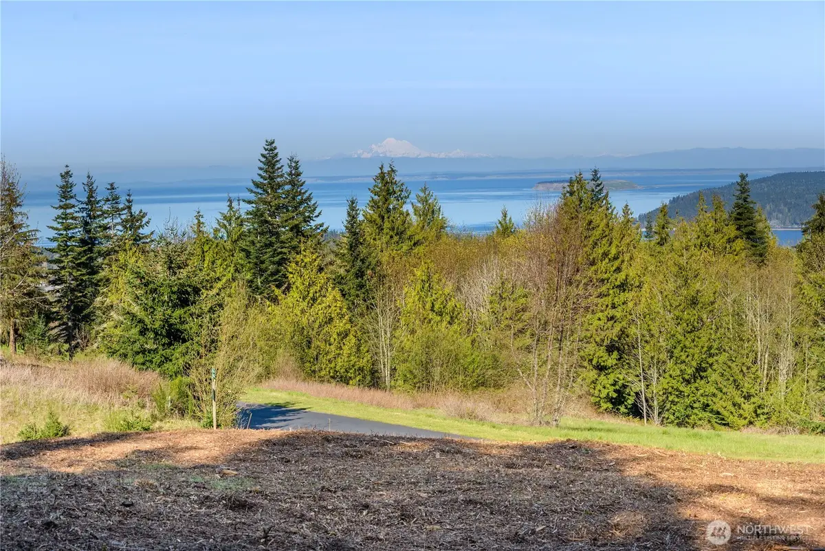 9999 Elk Pass Rd Lot 16 #16, Bell Hill, WA 98362 - #1