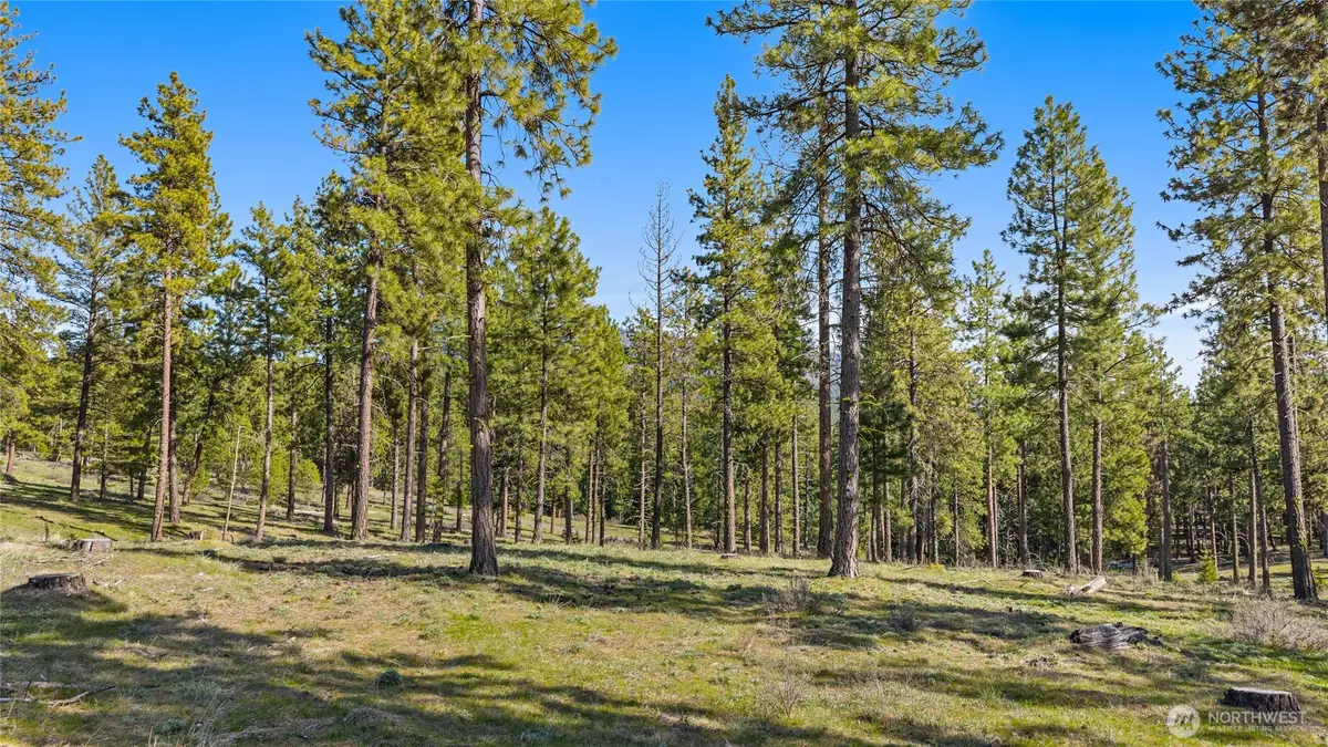 0 Flying M #G, Cle Elum, WA 98922 - #1