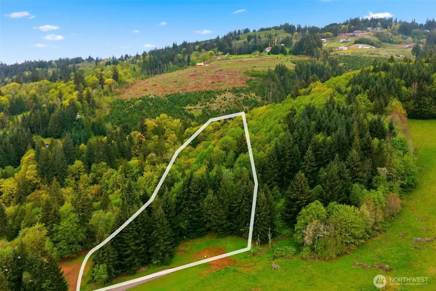 0 Green Mountain Rd, Kalama, WA 98625 - #2