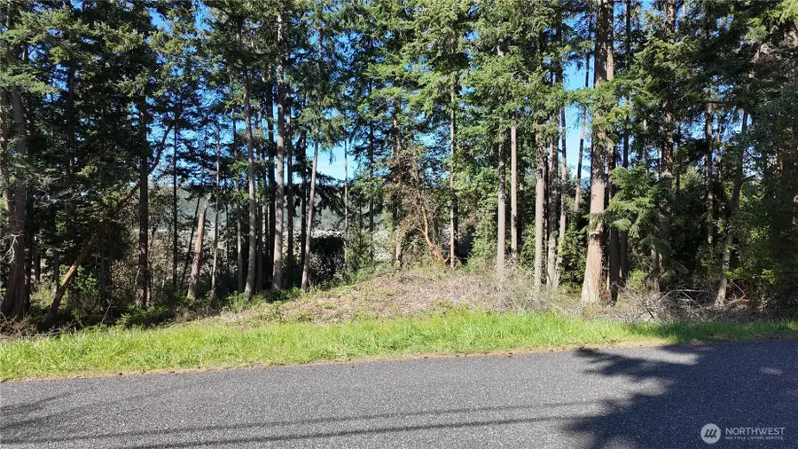 0 Wagner Road, Camano Island, WA 98282 - #3